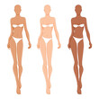© Shorena Tedliashvili - Fashion models posing, vector illustration. Woman body templates. Nine-head fashion female different skin tones colored croquis,  vector set.