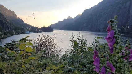 Wall Mural - Beautiful landscape with rocky hills and a lake with flowers in Ana-Sira