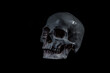 ludzka czaszka na czarnym tle