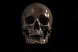 Fototapeta  - ludzka czaszka na czarnym tle