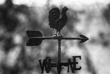 Grayscale Shot Of A North South East West Metallic Post With A Rooster On The Top