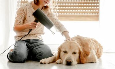 Wall Mural - Girl with golden retriever dog