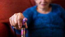 Close Up Of Senior Woman Hands Holding Walking Stick. Caucasian Grandma On Sofa