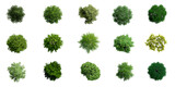 Fototapeta Natura - Collection of 3D Top view Green Trees Isolated on PNGs transparent background , Use for visualization in architectural design or garden decorate	