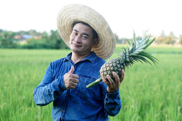 Wall Mural - Handsome Asian man farmer wears hat, blue shirt, holds pineapple fruit. Thumbs up. Concept : Agriculture crop in Thailand. Farmer satisfied. Organic crops. Seasonal fruits. 