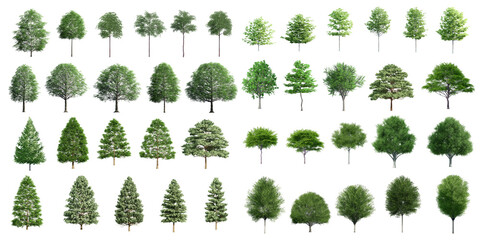 collection beautiful 3d trees isolated on pngs transparent background , use for visualization in arc
