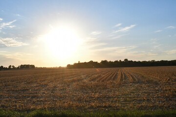 Canvas Print - Sunset Over a Harvested Corn Field