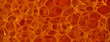 Macro texture fiber magnification microscope bright blood