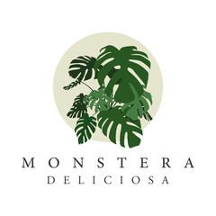 Wall Mural - monstera deliciosa plant illustration vector