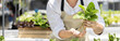 © Puwasit Inyavileart - Owner of a hydroponics vegetable garden inspects agricultural produce in a greenhouse in preparation for delivery to consumers, Organic farming and organic vegetables, Healthy and vegan food concept.