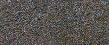 Panorama Of Small Pebbles In Concrete Wall For Background