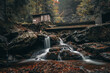 Herbst Rißlochwasserfälle im Naturpark Bayerischer Wald. Bayern Deutschland