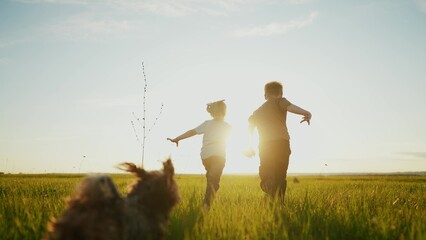 boy girl and dog a running in the park. happy family kid dream holiday concept. children hold hands brother sister run across the field silhouette summer in the park. sun kids run