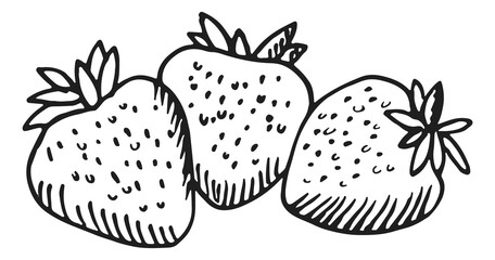 Wall Mural - Strawberries sketch drawing. Sweet berries in hand drawn style