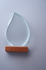 Wall Mural - crystal trophy against gray background