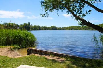 Wall Mural - View at the little Stienitz lake (Stienitzsee), Hennickendorf, federal state of Brandenburg - Germany