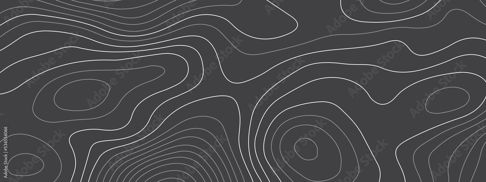 Black and white wave abstract topographic map contour, lines Pattern ...