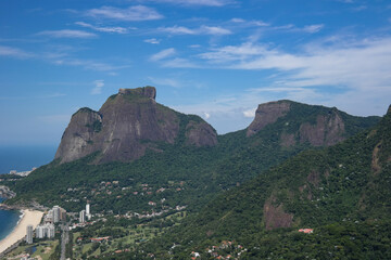 Wall Mural - Tijuca Forest