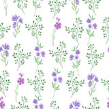 Fototapeta  - Seamless pattern hand drawn blue and violet wild flowers and herbs on white background