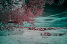Summer Landscape With A Field And A Tree Infrared Photography