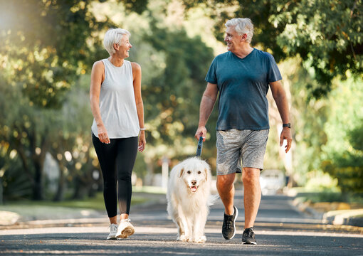retirement, fitness and walking with dog and couple in neighborhood park for relax, health and sport