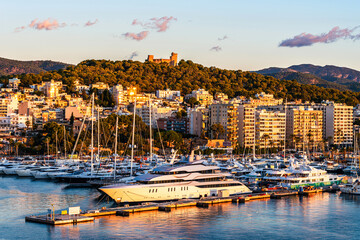 Wall Mural - Sunrise  over Port of Palma De Mallorca, Spain