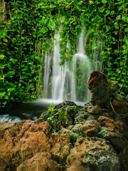 Wall Mural - Waterfall landscape in the middle of many plants