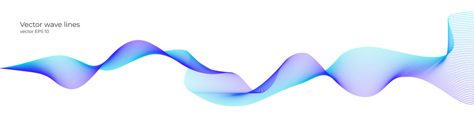Wall Mural - Vector wave dynamic music lines. Blue-violet abstract lines. Sound waves on a white background for your design. Vector EPS 10