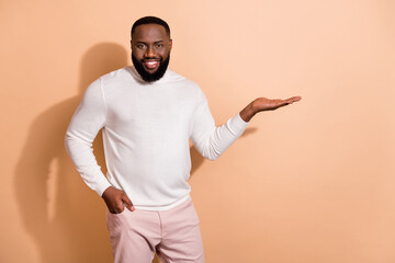 Poster - Photo of positive promoter guy hold palm demonstrate promo ads wear sweater isolated pastel color background