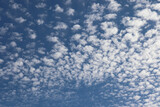 Fototapeta Niebo - photo of an azure sky with cirrus clouds on a summer day