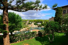 Green Trees And Bushes In The Backyards Of Porto Cristo, Mallorca, Balearic Islands, Spain