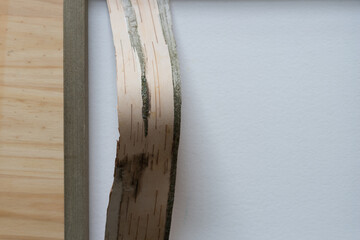 Canvas Print - length of birch bark set inside a framed panel with copy space