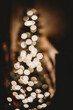 Leinwandbild Motiv christmas tree lights