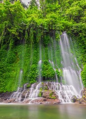 Wall Mural - beautiful waterfall scenery with green leaves in summer