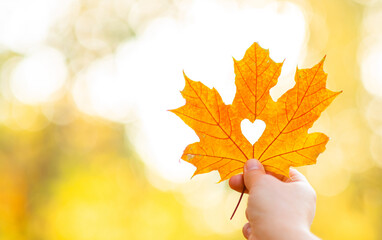 Woman holds dry golden autumn leaf with hole heart shape. Ray of the sun breaks through a heart cut out in a leaf. Yellow Autumn leaf of sunset sunlight with a cut out heart. Autumn season