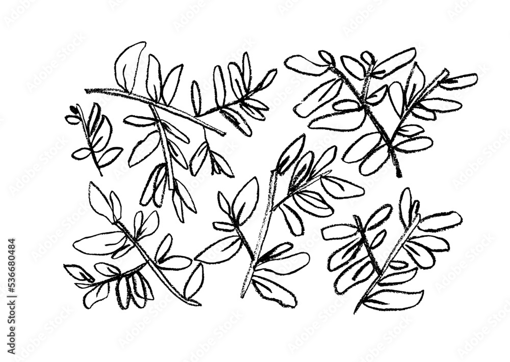 Plant branches hand drawn with pencil. Vector illustration of contour ...