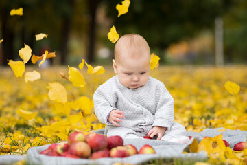 Confused baby sits on ground in autumn park. Funny girl plays with fresh red apples among green grass and yellow leaves. Baby looks at patterns on comfy plaid