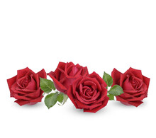 Red Rose With Water Drops Isolated On Transparent Background. (.PNG)