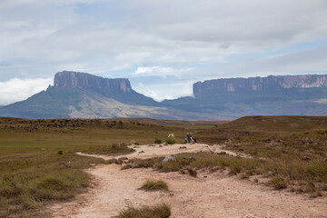 Wall Mural - Mount Roraima, Brazil, lost world, planet earth.