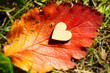 drewniane serce na czerwonym jesiennym liściu