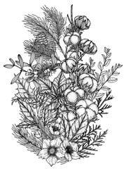 Vector illustration of a Christmas bouquet in engraving style. Cotton branch, poinsentia, cotoneaster, spruce with cones, hellebore, holly, thuja, pine, mistletoe