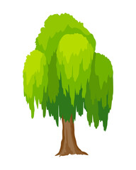 tree. eco concept of nature plant. flat green willow tree icon isolated on white background. garden 