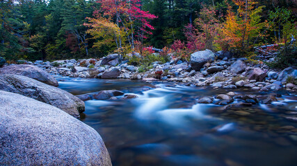 Wall Mural - Swift River with morning lights and foliage colors