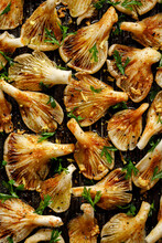 Oyster Mushrooms In An Aromatic Marinade, Prepared For Grilling, Top View