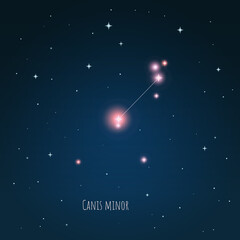 Wall Mural - constellation canis minor on the background of starry sky. constellation scheme collection vector il