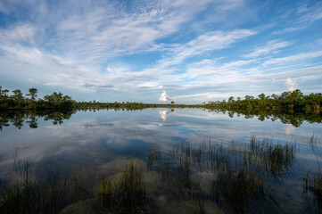 Wall Mural - Summer cloudscape over Pine Glades Lake in Everglades National Park, Florida.