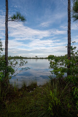 Wall Mural - Summer cloudscape over Pine Glades Lake in Everglades National Park, Florida.