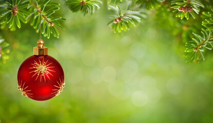 Wall Mural - beautiful green fir tree branches and christmas red ball with gold stars. christmas ornaments and ne