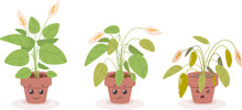 Cartoon Fading Houseplant. Dying Cute Flower In Flowerpot, Smiling And Sad Plant Character, Growing Process Floral Or Die Stage Old Sick Houseplants Wilted Leaf Vector Illustration