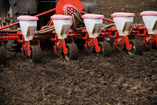 Winter Wheat Sowing In Autumn